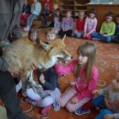 MS_19_Den Země